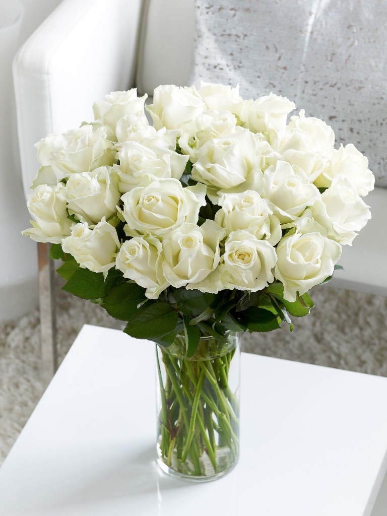 C04233WS (1)