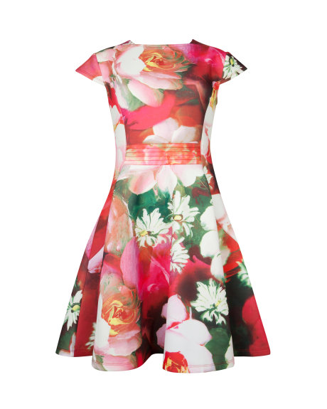  ROZIEY Rose on canvas print dress     £139.00 click to visit Ted Baker