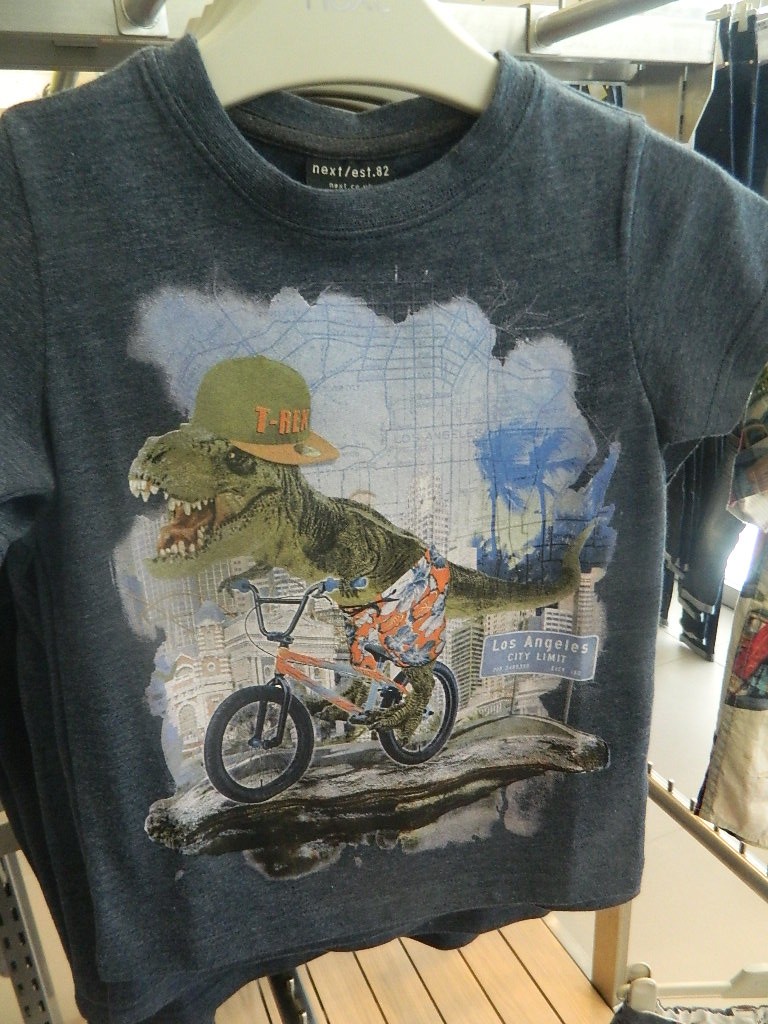 Blue Bike Dino T-Shirt (3-16yrs) £5.50 - £10.50 click to visit Next