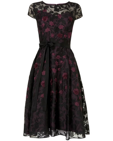 Suri Embroidered Dress £165.00 click to visit Phase Eight