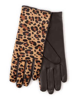 Westminster Gloves AD172 (Was £59.00 to £69.00 ) now £44.25 to £51.75 click to visit Boden