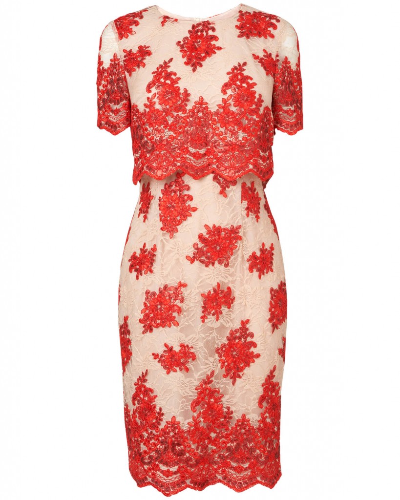 Ariel Lace Dress £140.00 click to visit Phase Eight