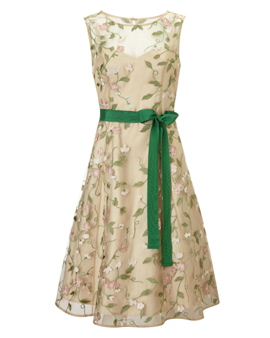 Loretta Dress £169.00 click to visit Phase Eight