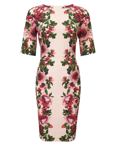 Elodine Dress £140.00 click to visit Phase Eight