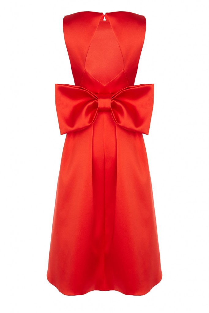 SANDRINA DRESS £169.00 click to visit Coast