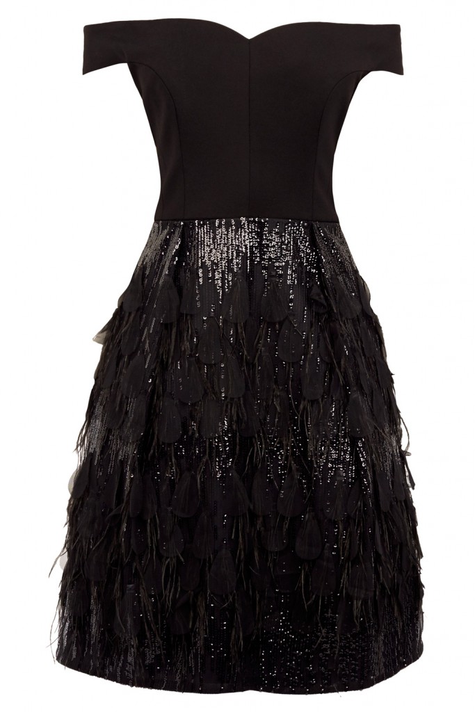 KEELEY FEATHER SKIRT DRESS £169.00 click to visit Coast