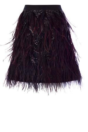 GABRIELLA FEATHER SKIRT £165.00 click to visit Coast