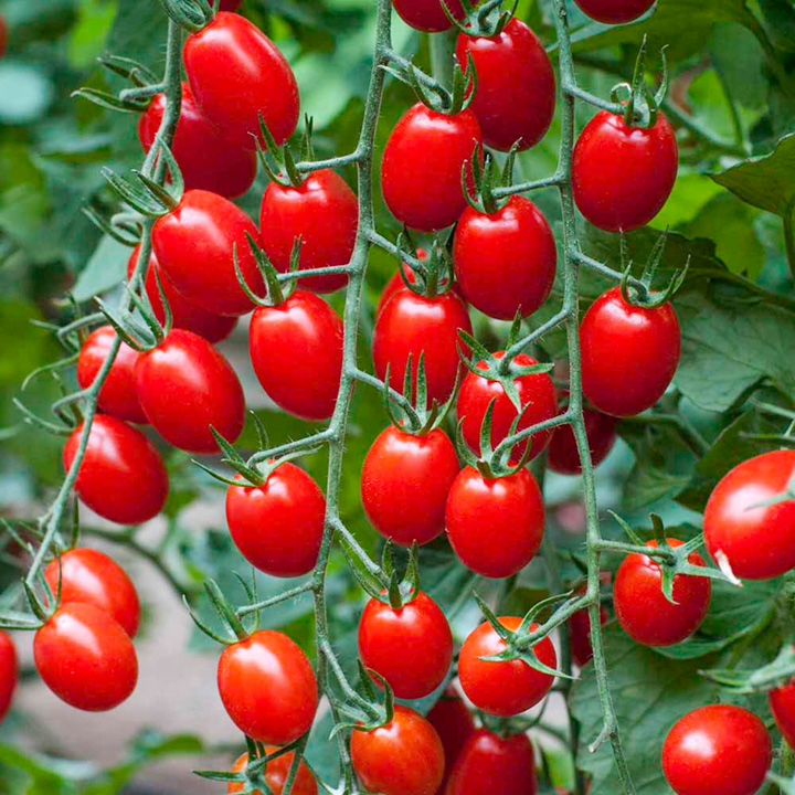 VETOM30892_3